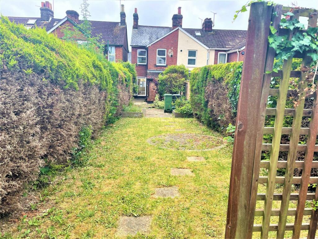 garden 2.jpg