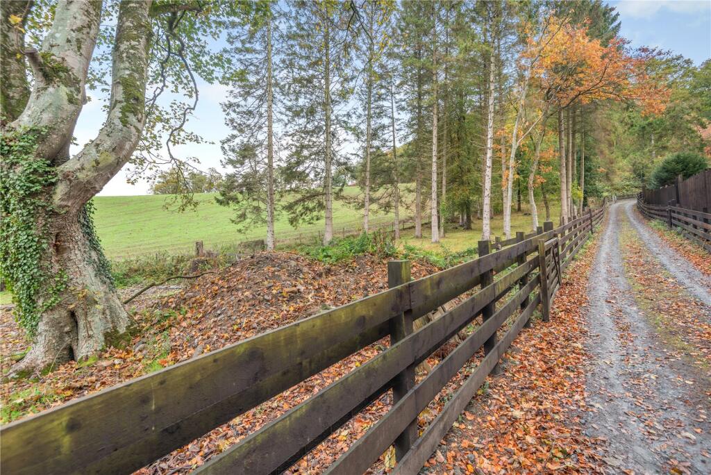 Woodland