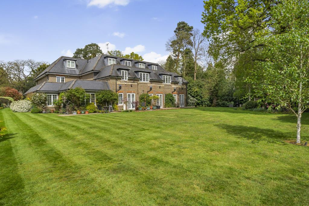 Rear of Property