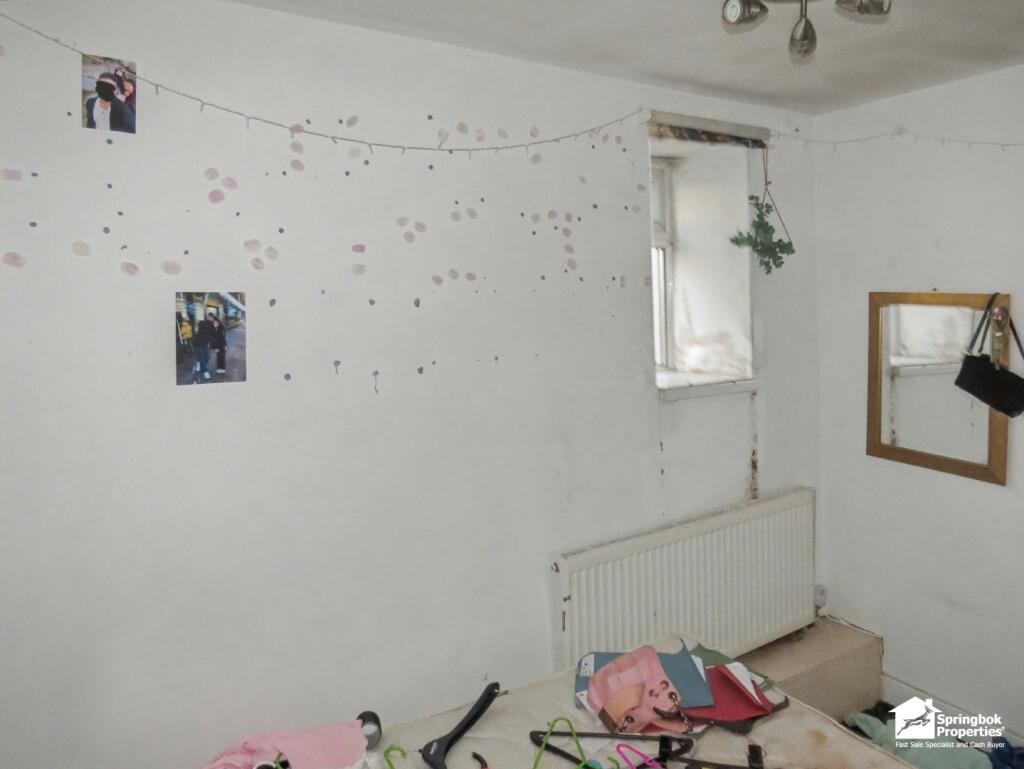 IMAGE 14