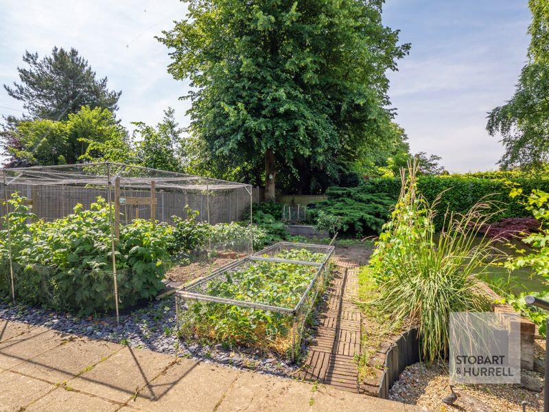 Vegetable Garden