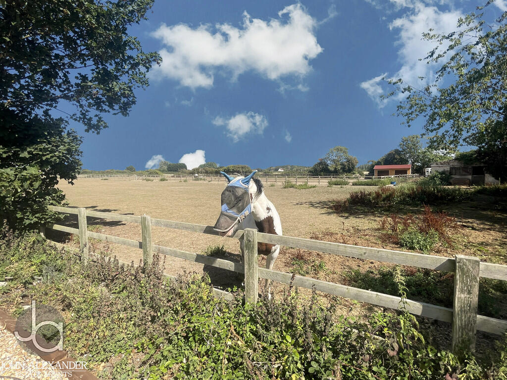 20250811_14503882...