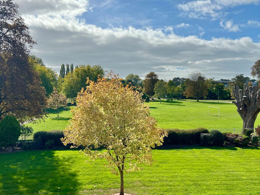 French Weir Park