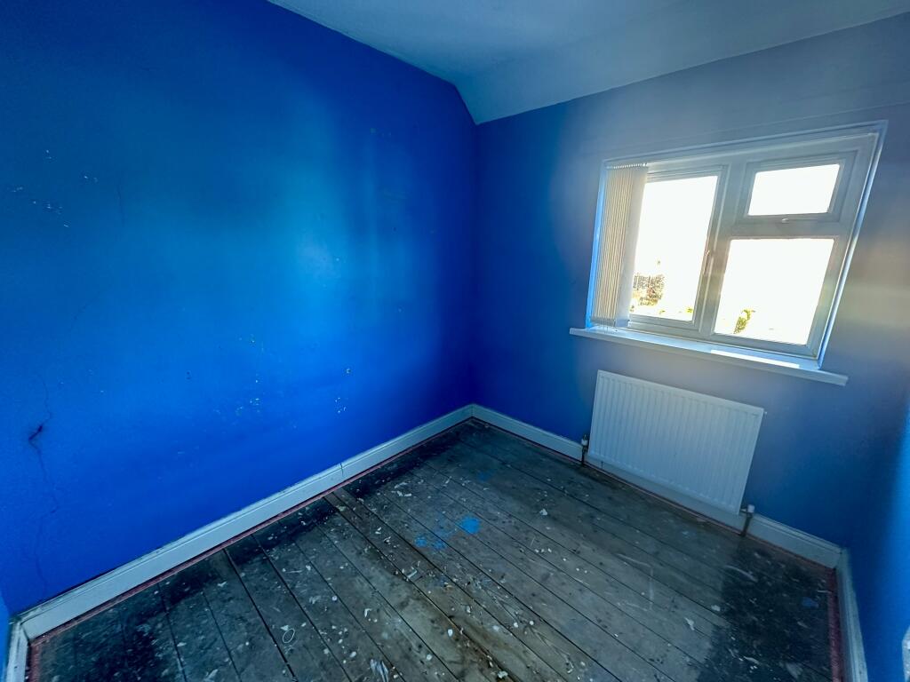 IMG 4224 T202511271742.jpeg