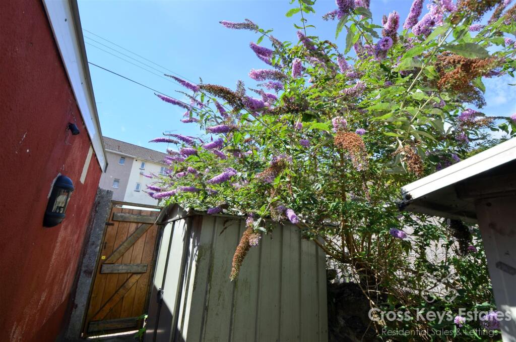 Rear Garden And Garage
