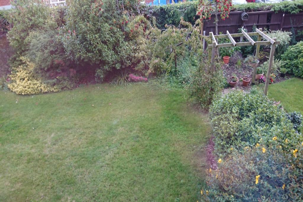 Communal Garden