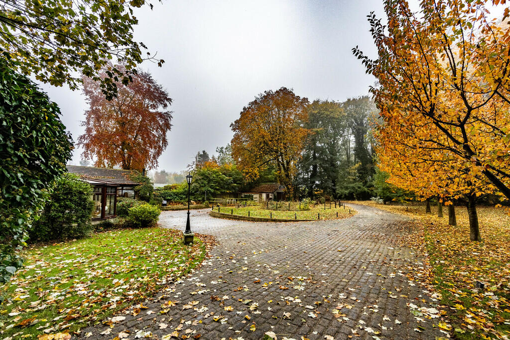 153WRScholes-2510...