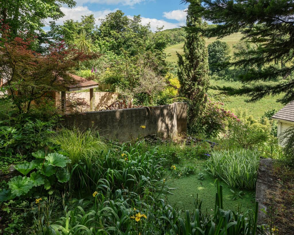 Pond_Brambles, Weeke Hill, Dartmouth