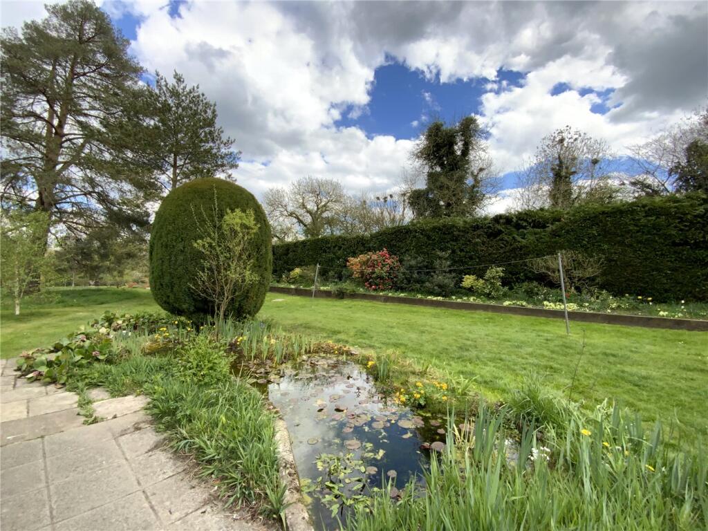 Pond