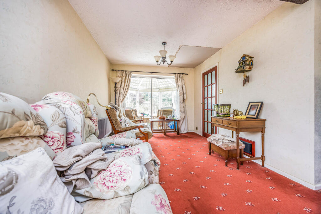 20240911135414209_original [1855580352].jpg