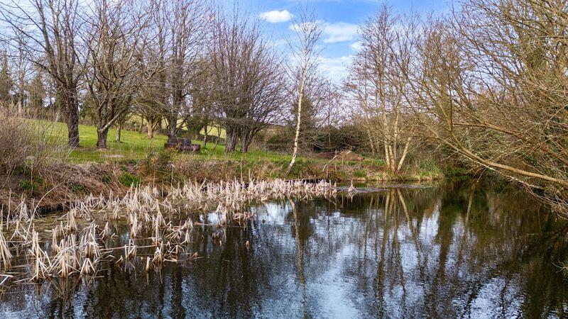 pond