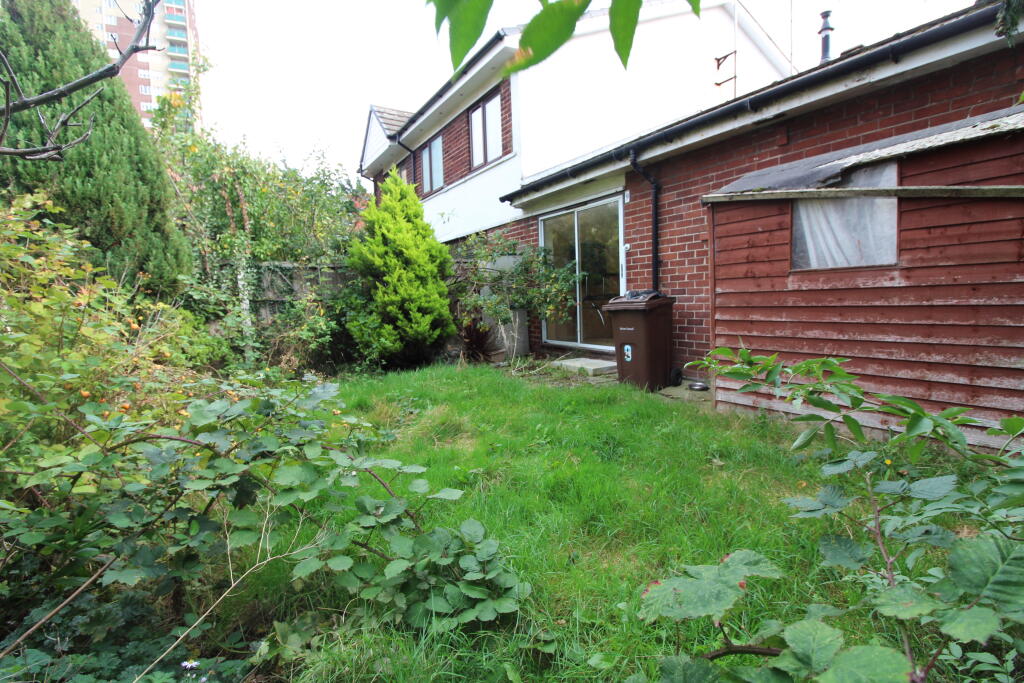 Garden 1 T202510101022.jpg