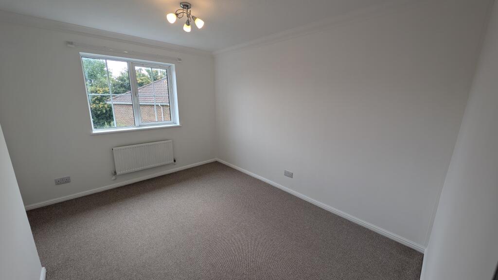 PXL_20251002_1300463