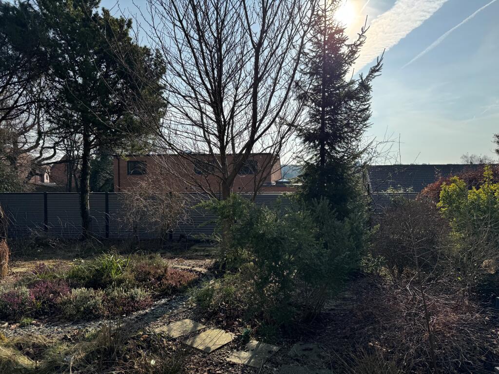 13 T202502191132.jpg