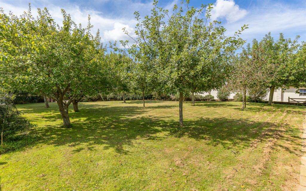 Orchard