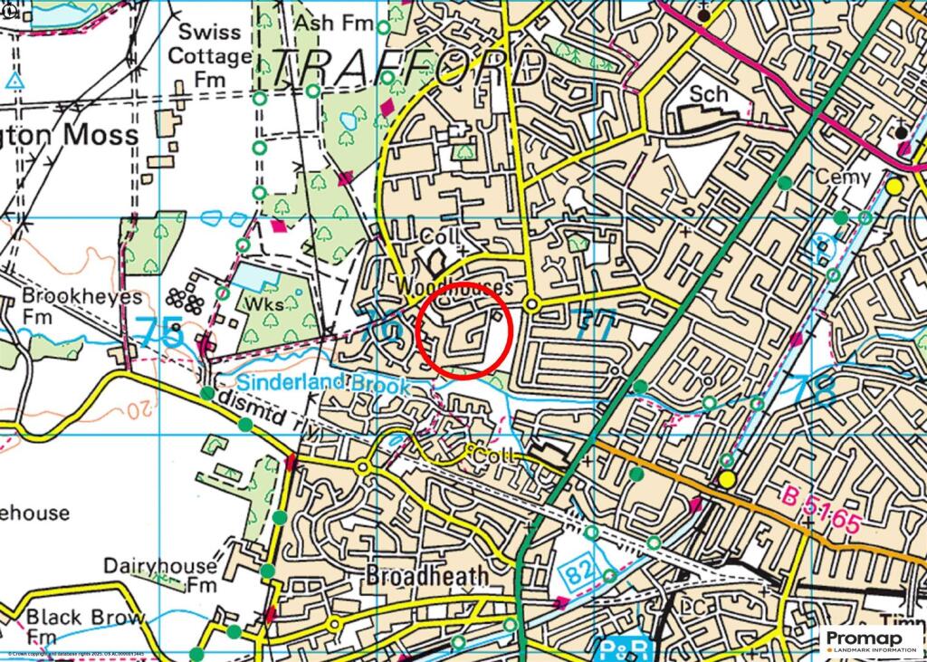 Town Plan