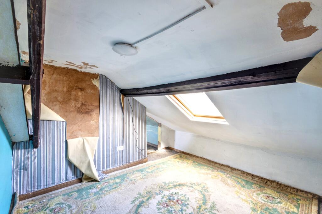 0249170.w6wxt T202509121129.jpg