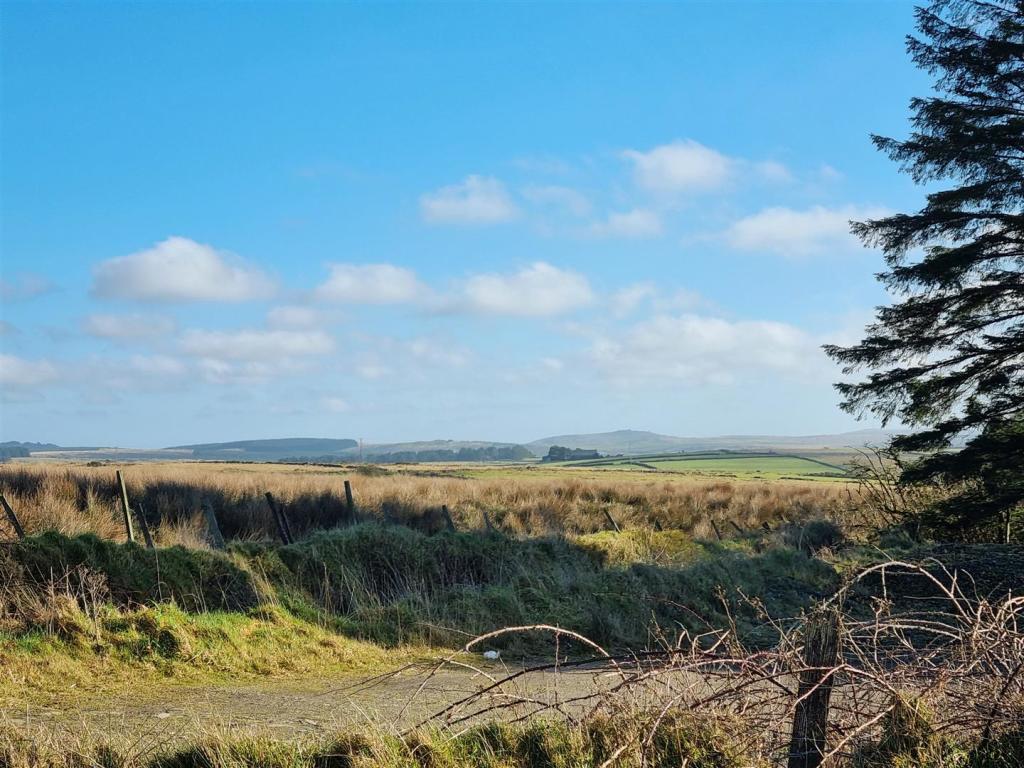 Bodmin Moor