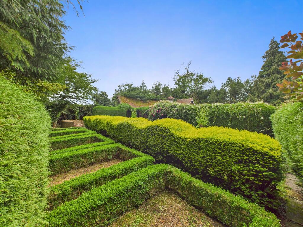 Garden 3