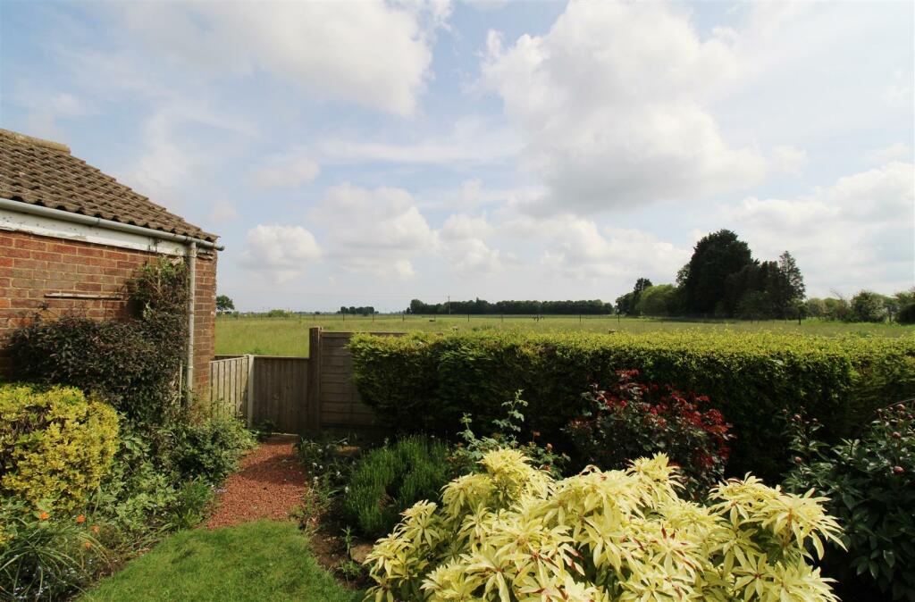 Field Views