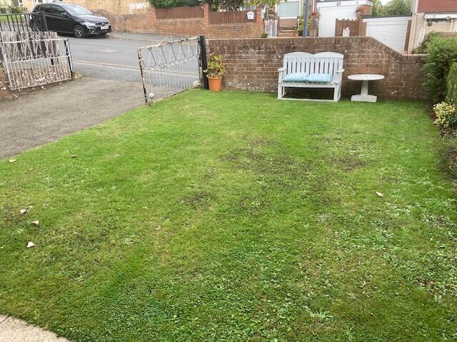Front Garden