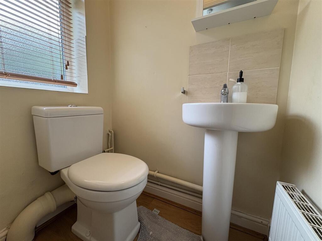 IMG_1105 (Large).jpeg