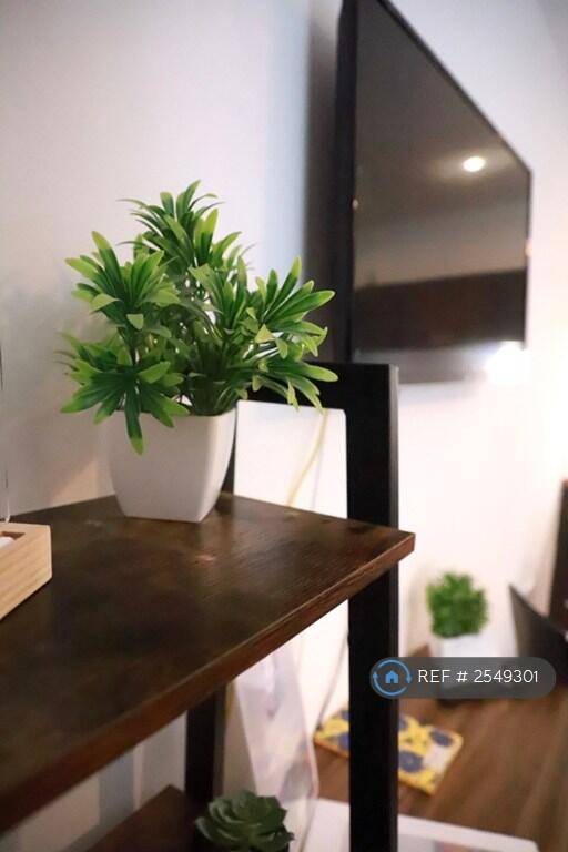 Book Shelf - Plant/Tv