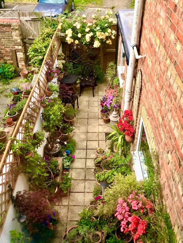 View Of Garden