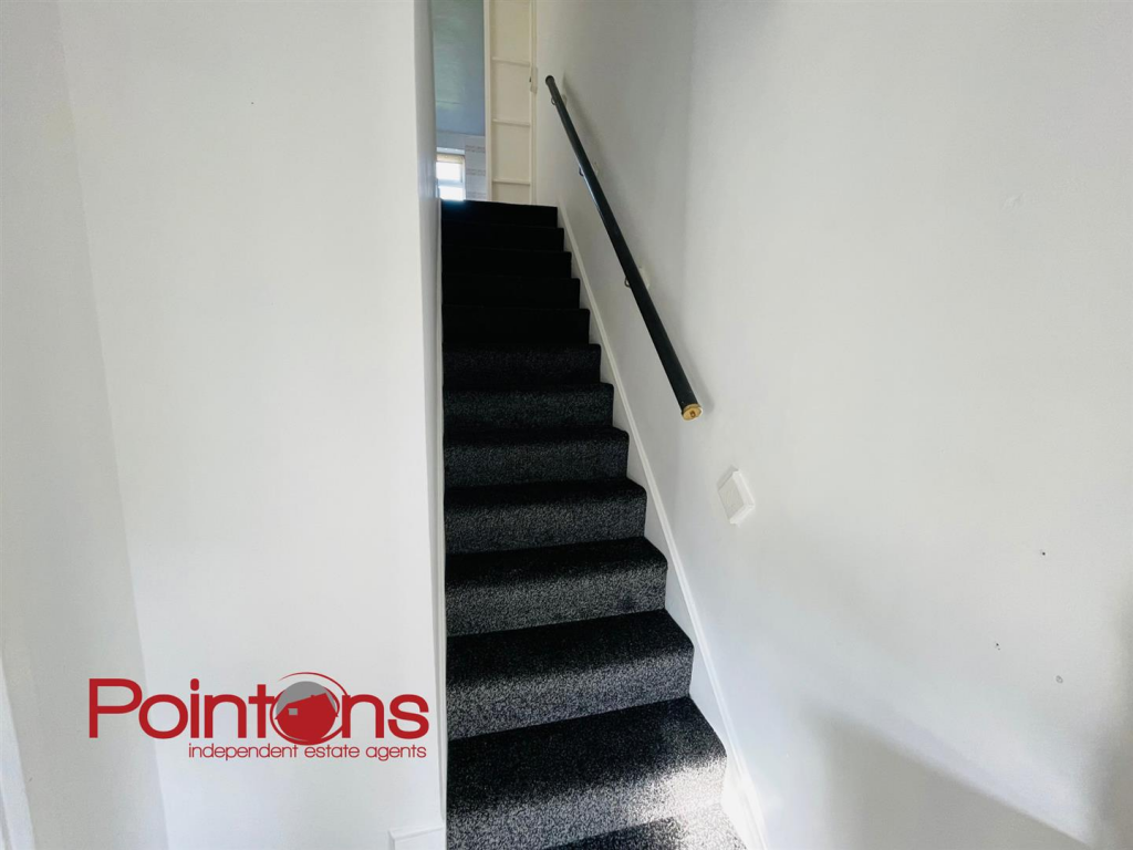 Untitled design - 1.png