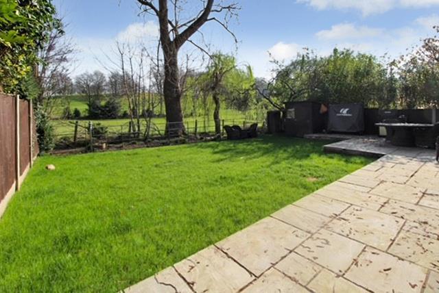garden 2.jpg