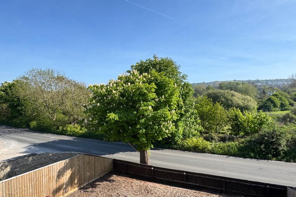 View from Living Room