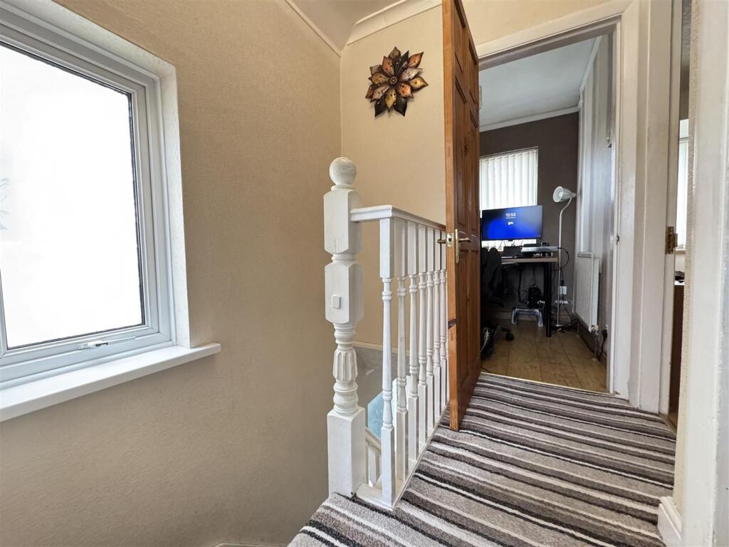 IMG_9082 (Large).JPG