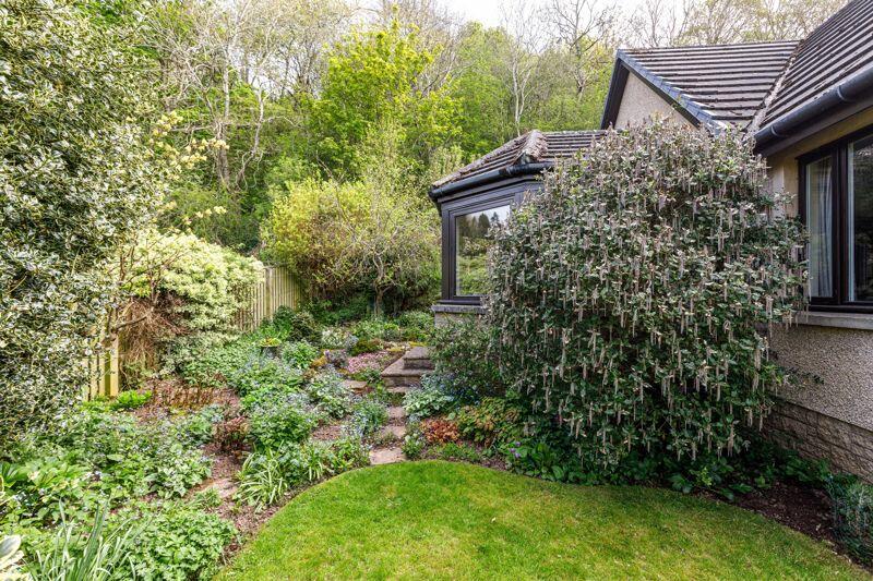 Side Garden