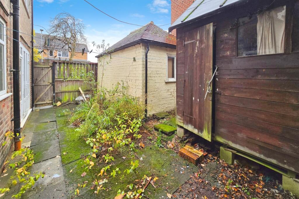 Back Garden