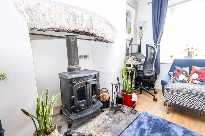 Multi fuel stove