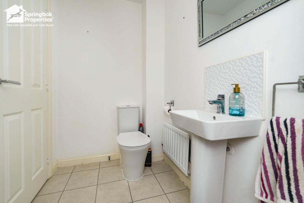 IMAGE 11
