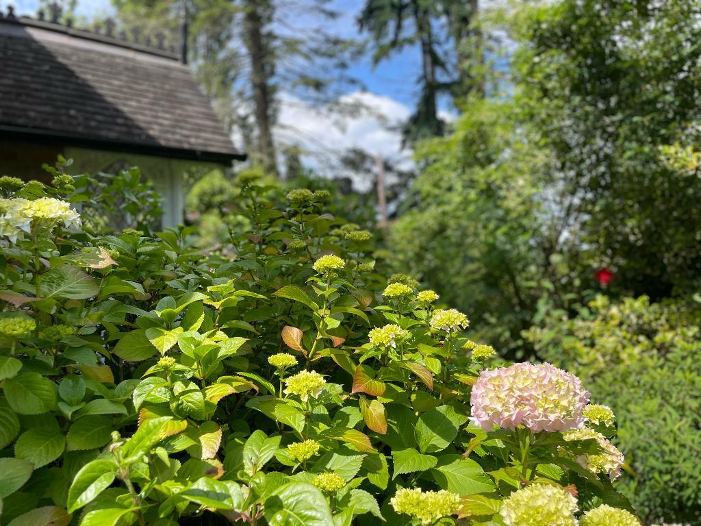 Beautiful gardens