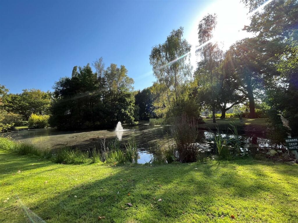 Lake.jpg