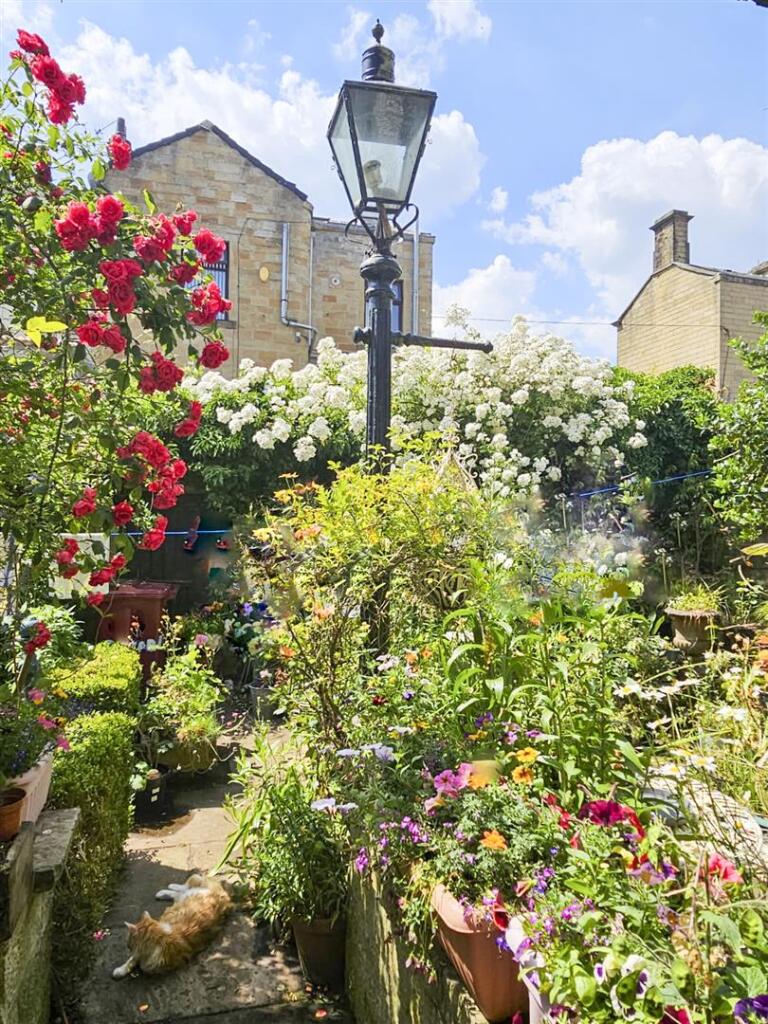 Garden in Summer Alt