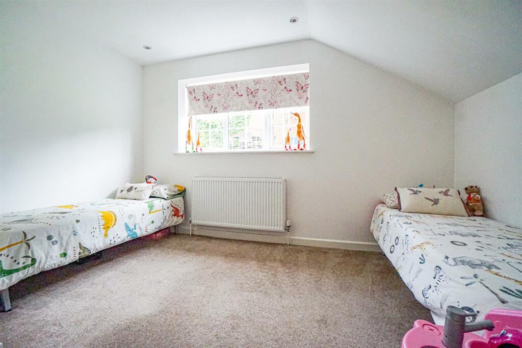 DSC06127_Alto.jpg
