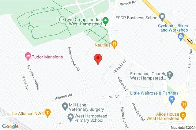 Google Maps Image