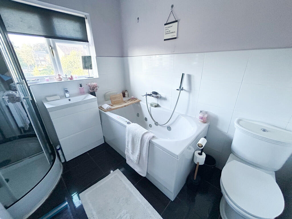 image_50439425 (2...