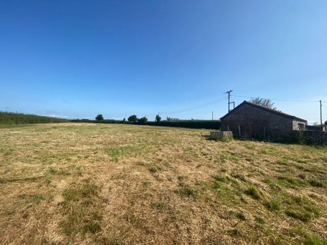 field5.jpg