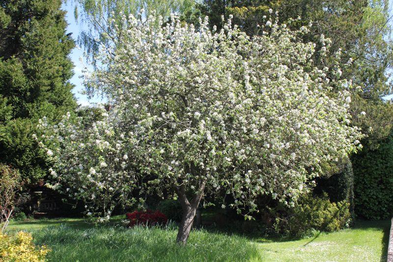 Photo 26
