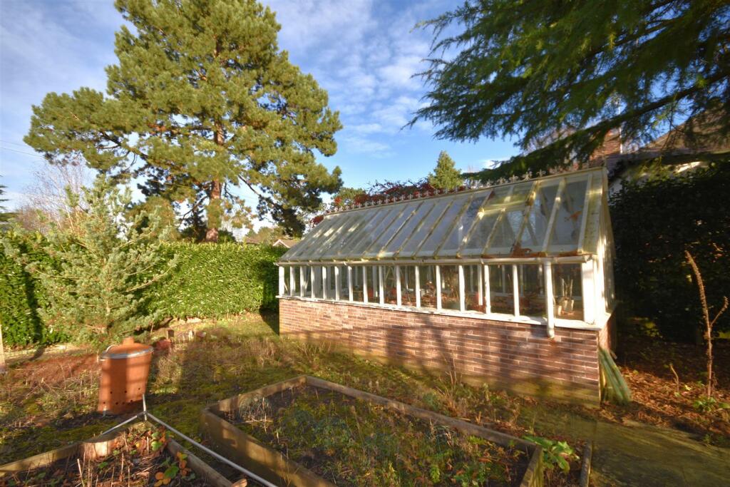 DSC_0154 - Copy (4).JPG