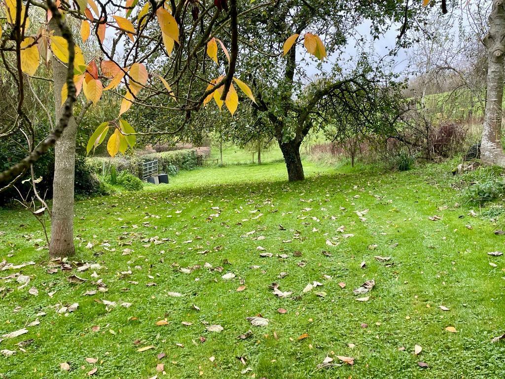 Ideal little paddock area