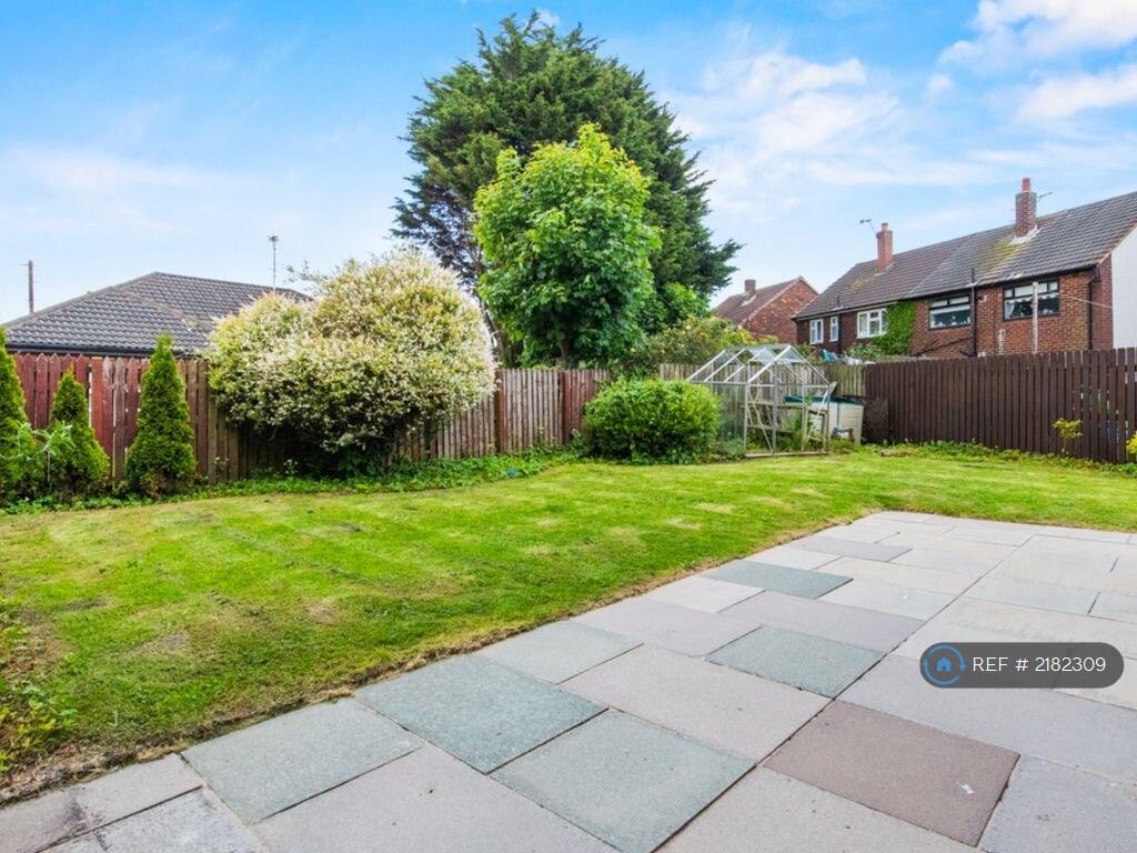 Back Garden