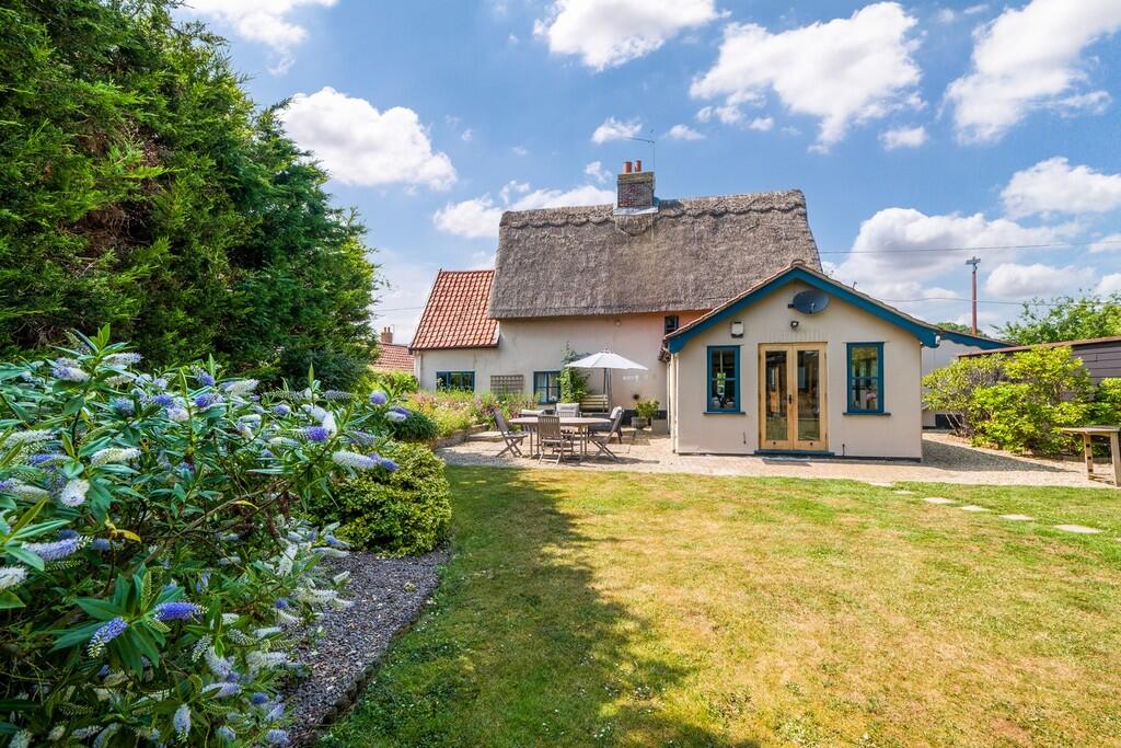 1440px Beech Tree...