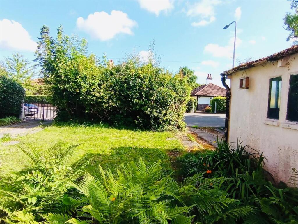 WhatsApp Image 2024-07-25 at 17.24.08 (5).jpeg