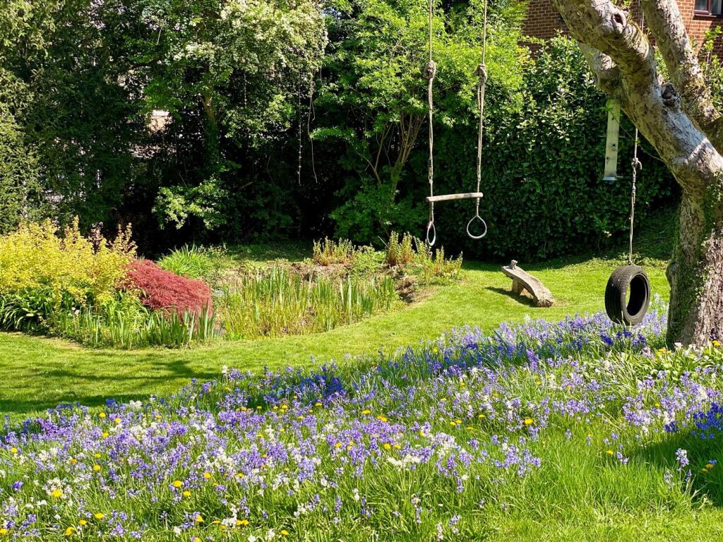 29th April 2025 - Flower Garden2.jpg